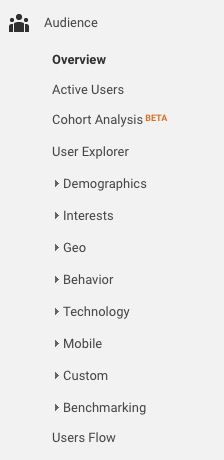 The Audience section provides a series of detailed reports on your site visitors, from their interests, to where they come from and what language they speak.
