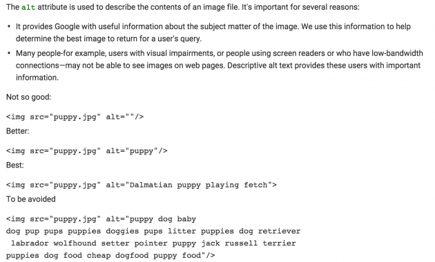 Google alt text sample.