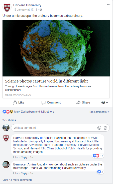 Harvard University Facebook post