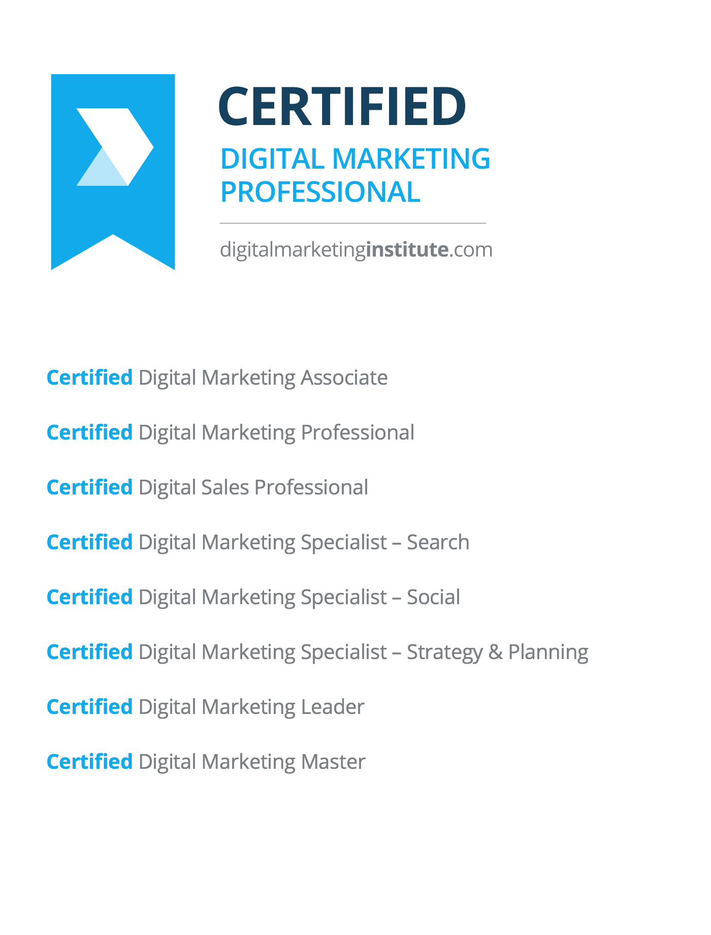 Professional Digital Marketing Certification Programs