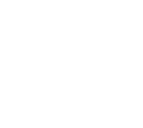 Icon Survey