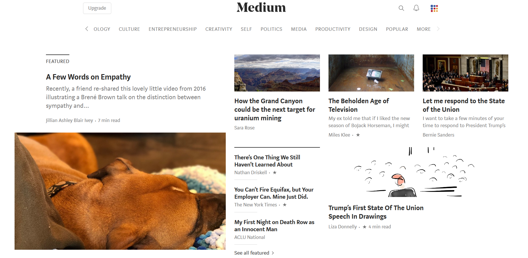Medium content marketing platform.