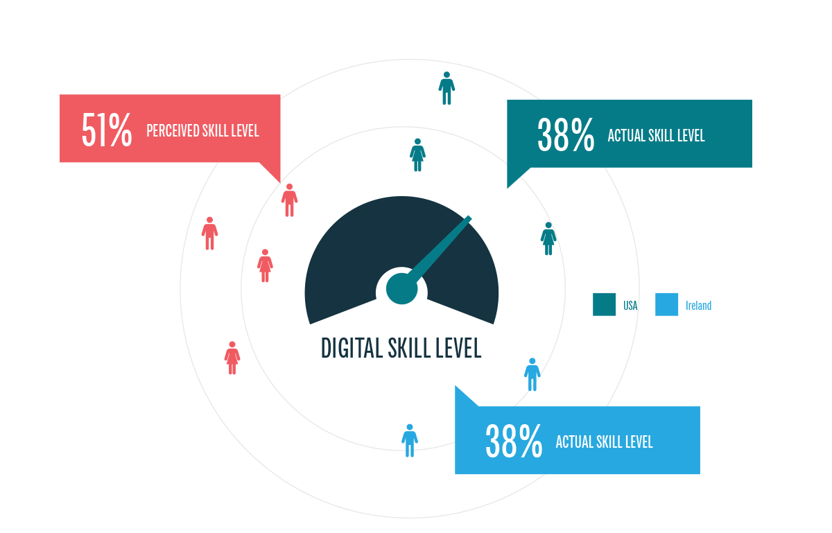 Digital Skills Stats